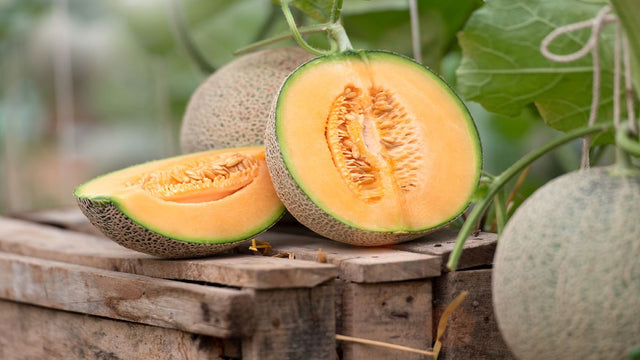 Cantaloupe-melon