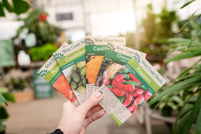 PROFISSIONAL SEEDS