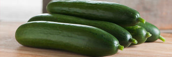 Cucumber