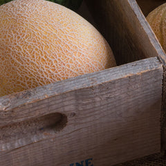 Collection image for: MELON