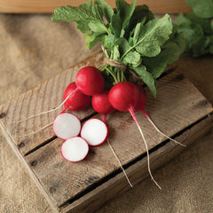 Radish commercial