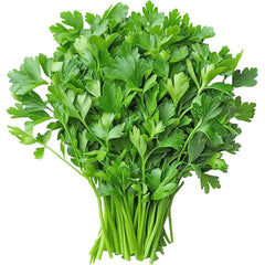 Collection image for: Coriander