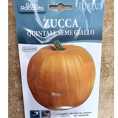 Squash and pumpkins for Beginners
