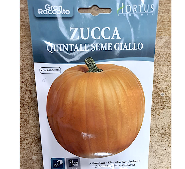 Squash and pumpkins for Beginners