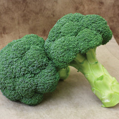 Broccoli Hobby
