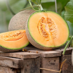 Cantaloupe-melon