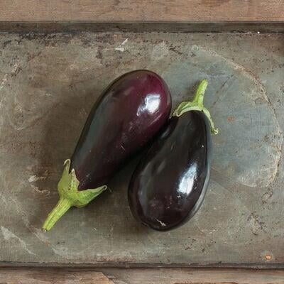 Eggplant pro