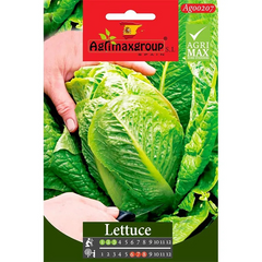 lettuce Hobby