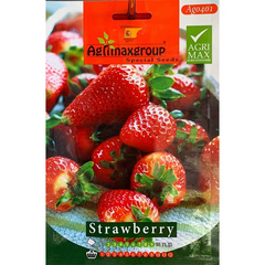 Strawberry Hobby