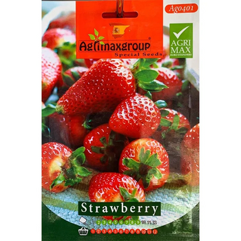 Strawberry Hobby