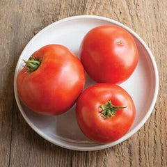 Tomato's pro