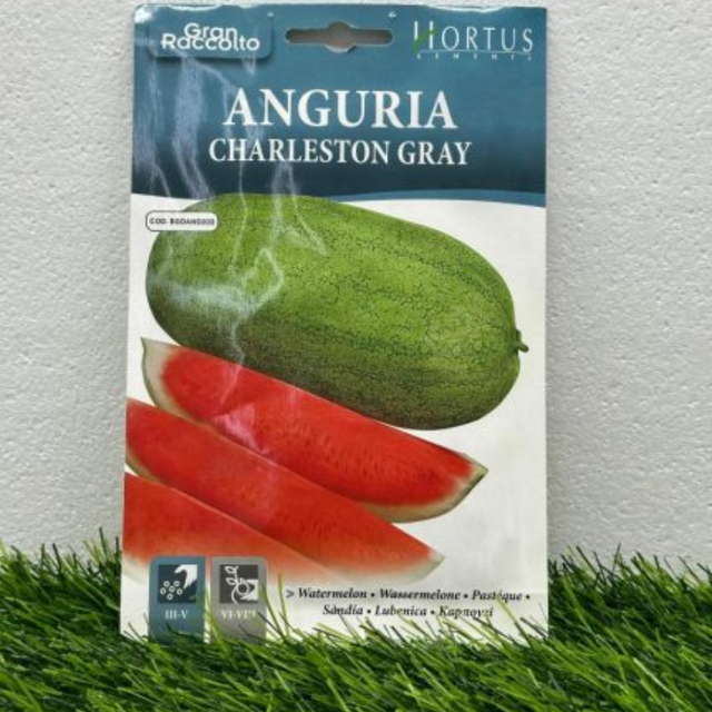 Watermelon and melons for Hobby