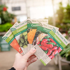 PROFISSIONAL SEEDS