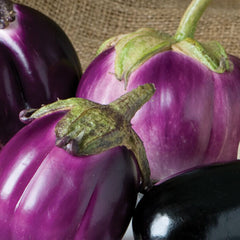 Collection image for: Eggplant