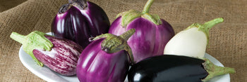 Eggplant