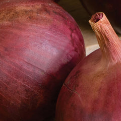 Collection image for: Onions