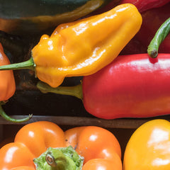 Collection image for: PEPPER