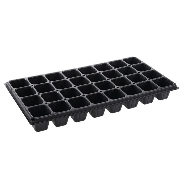 Tray/ Wool