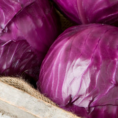 Collection image for: Cabbage