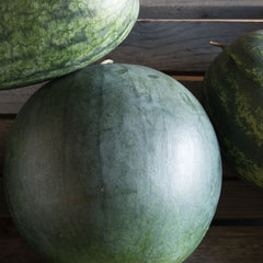 Collection image for: Watermelons