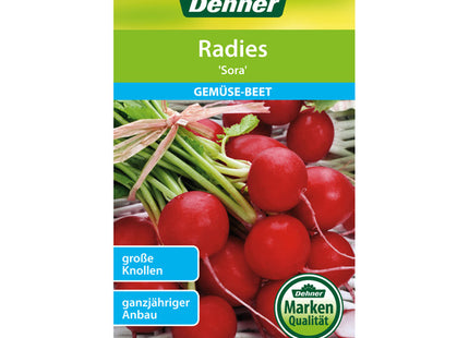 Radish Sora