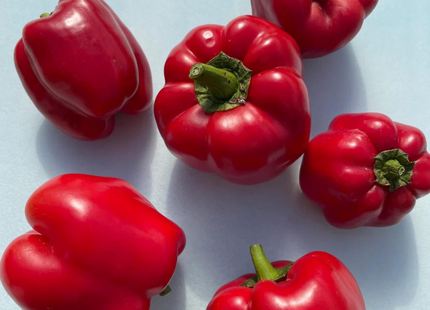 SPRINTER RED PEPPER