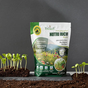 DE NUTRI RICH 11-1-1 (O.M 72 %) Granular(Desert Group-UAE) (1kg)