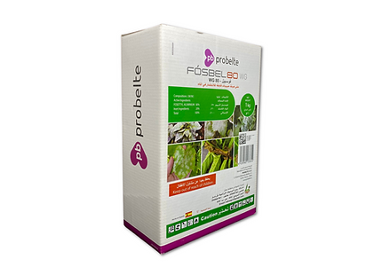 Fosbel 80 WG – Preventive & Curative Fungicide for Palm Trees & Vegetables