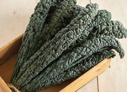BLACK MAGIC KALE