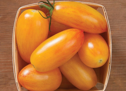 BLUSH TOMATO