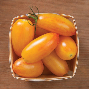 BLUSH TOMATO