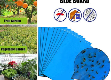BLUE INSECT STICKY BOARD – Mig Farm