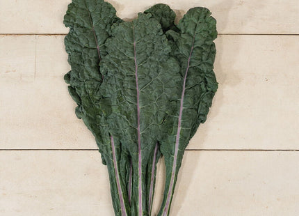 DAZZLING BLUE KALE