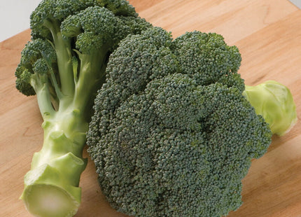IMPERIAL BROCCOLI