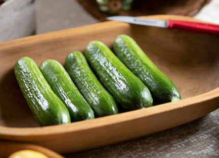 PICOLINO CUCUMBER