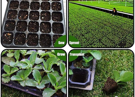 صينية شتلات SEEDLING TRAYS 200 EYE