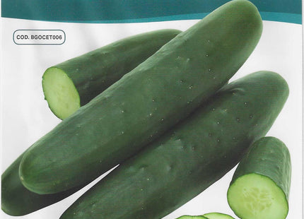 HORTUS CETRIOLO BETH ALPHA