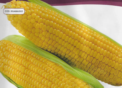 SWEET CORN MAIS DOLCE