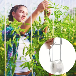 TOMATOES TRELLISING HOOKS