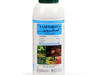 EFDAL LAMTROINE 5 EC