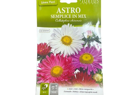 ASTER REINE ASTRO SEMPLICE IN MIX