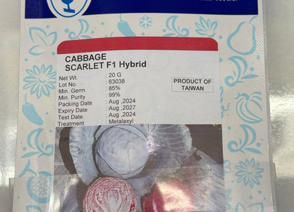 CABBAGE SCARLET F1 Hybrid