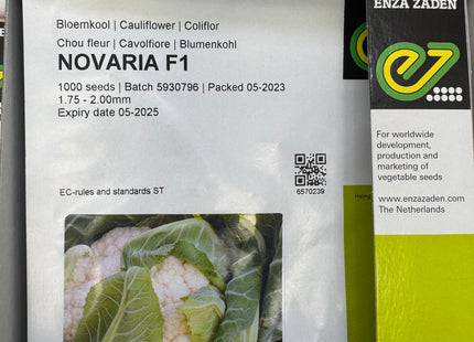NOVARIA F1