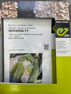 NOVARIA F1