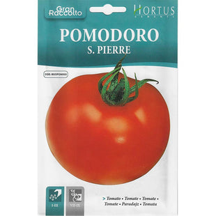 TOMATO POMODORO S. PIERRE