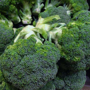 HORTUS BROCOLO CALABRESE