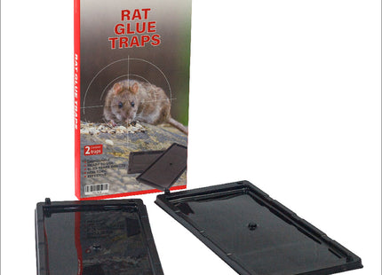 CIS RAT Glue Trap