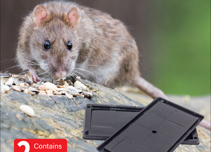 CIS RAT Glue Trap