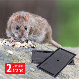 CIS RAT Glue Trap