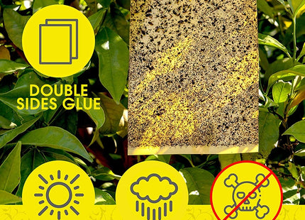 YELLOW INSECT STICKY BOARD
